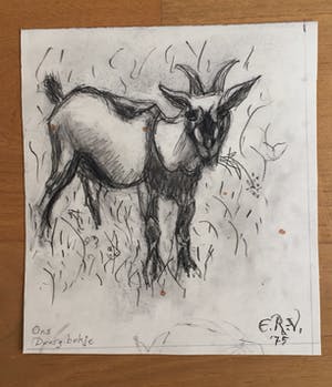 Engelien Reitsma-Valenca - Acht tekeningen van dieren in potlood of zwart krijt kopen? Bied vanaf 50!