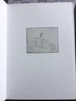 David Desjardine - 6 boeken met o.a. overzichtswerk en originele ets kopen? Bied vanaf 1!