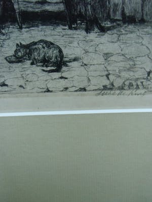 Suze de Lint - BINNENHUIS MET KAT kopen? Bied vanaf 30!