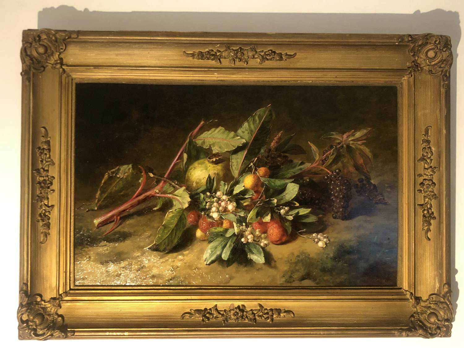 Adriana Haanen - Stilleven met vruchten en karmozijnbes kopen? Bied vanaf 3400!