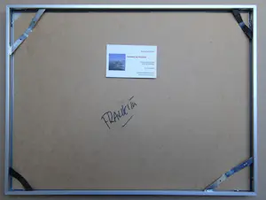 Franklin Meijer - Texel kopen? Bied vanaf 49!