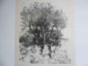 Jaap Kruijff - Litho, titel, Baadsters kopen? Bied vanaf 25!