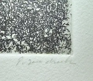 Willem Minderman - Boom tussen struiken, ets kopen? Bied vanaf 45!