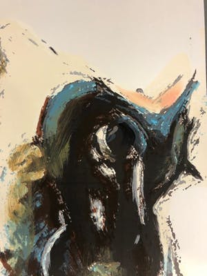 Theo Onnes - Cow 2 - gesigneerd - 75 ex - groot kopen? Bied vanaf 1!