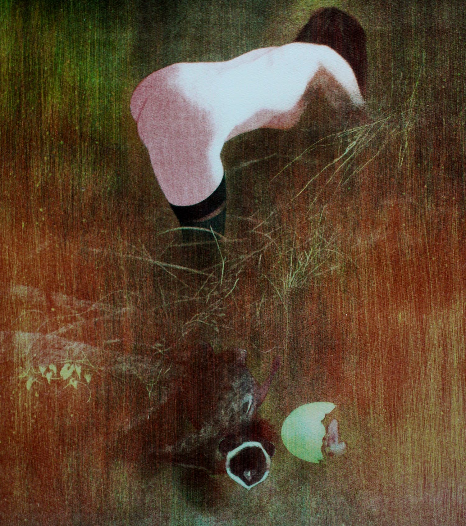 Wout Muller - Litho: Nest kopen? Bied vanaf 125!