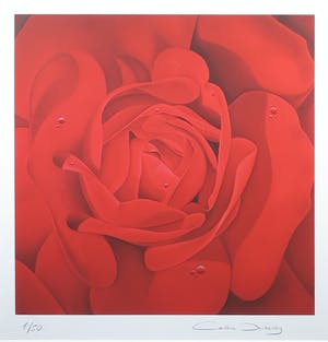 Caroline Dechamby - Zeefdruk, Rode roos: de kracht - Ingelijst kopen? Bied vanaf 20!