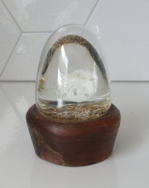 Niet of onleesbaar gesigneerd - Zoologisch object op sterk water als presse papier - Rodelco Gems - Vinkeveen kopen? Bied vanaf 1!