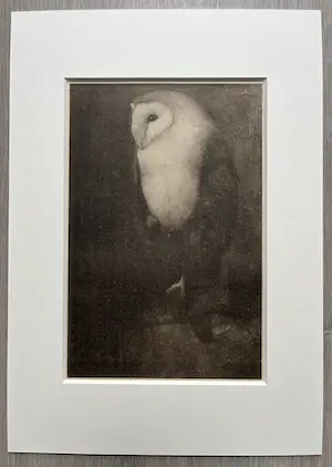 Jan Mankes - Originele Heliogravure Uil op Boomtak 1927 kopen? Bied vanaf 165!