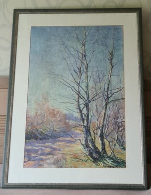 Adri Pieck - Berken kopen? Bied vanaf 180!