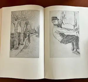 Vincent van Gogh - Verzamelde brieven / Verzamelde werken kopen? Bied vanaf 20!