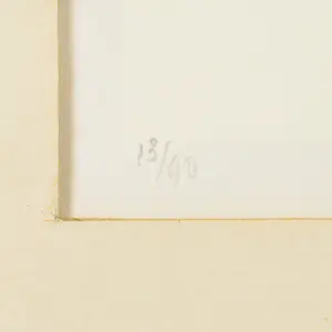 Metten Koornstra - Boom kopen? Bied vanaf 40!