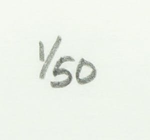 Ed van Doorn - Zeefdruk, The face of the Netherlands - Ingelijst kopen? Bied vanaf 40!