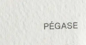 Salvador Dali - Pegasus kopen? Bied vanaf 95!