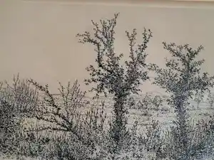 Willem Minderman - "Ierland". kopen? Bied vanaf 49!