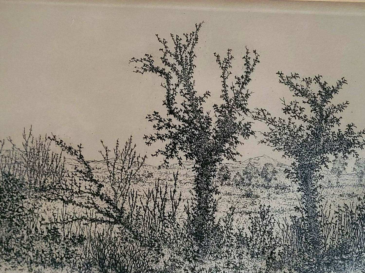 Willem Minderman - "Ierland". kopen? Bied vanaf 49!