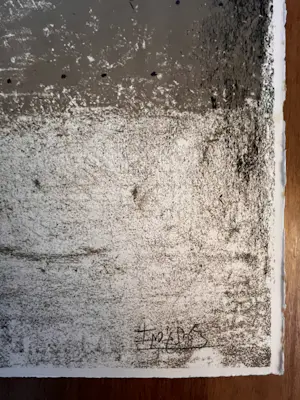 Johnny Friedländer - Grote kleurenets/aquatint - Nieuwstaat - 88/95 kopen? Bied vanaf 275!