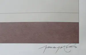 Maarten Manson - Dupliek Horizontaal 1973 kopen? Bied vanaf 45!