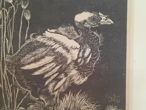 Jan Mankes - Nestkuiken kopen? Bied vanaf 1!