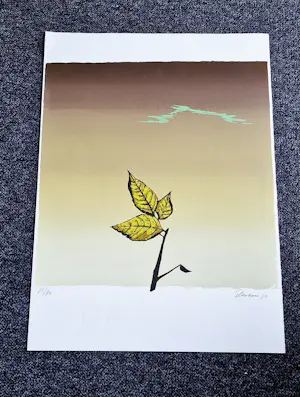 Wally Elenbaas - Mooie kleuren lithografie "onweer" - gelimiteerde oplage (80) - gesigneerd kopen? Bied vanaf 57!