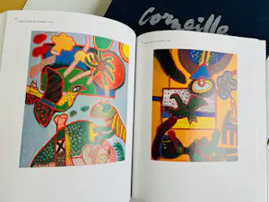 Corneille - box met boek en documentaire en toegevoegd drie grafische bladen kopen? Bied vanaf 395!