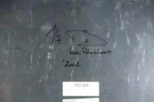 Koen Blanckaert - Foto op dibond, Blue Serie (pag. 7) kopen? Bied vanaf 80!