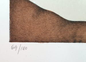 Ana Godel - Litho, Cahiers de Botanique kopen? Bied vanaf 25!