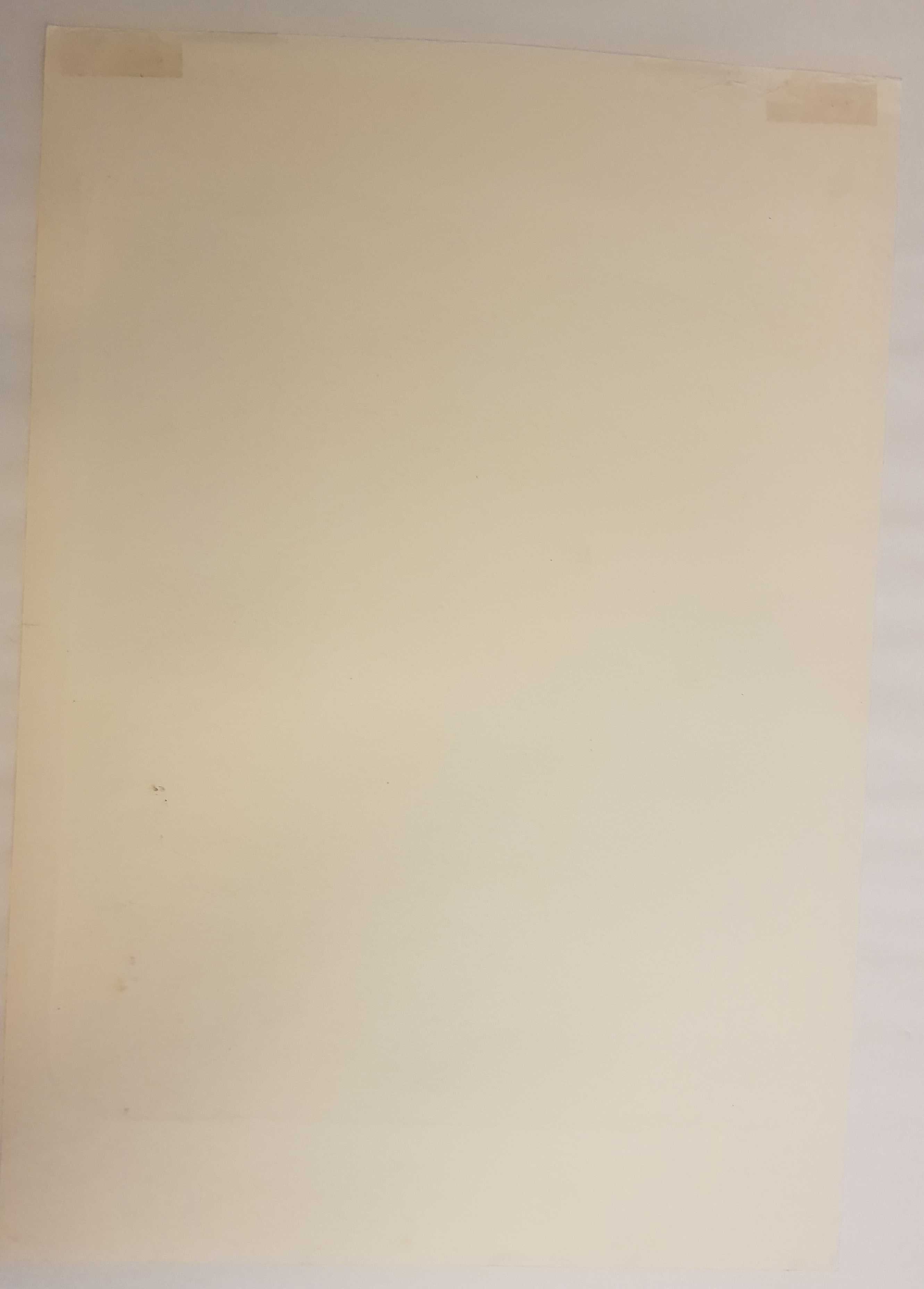 Kees Timmer - 'Berenkooi circus’, litho, 1947 kopen? Bied vanaf 99!