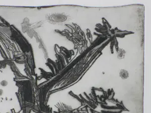 Cor de Wolff - Tamme beesten - Ets kopen? Bied vanaf 40!