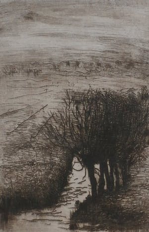 Frederika Broeksmit - Ets: Slootje met een rijtje knotwilgen in een landschap kopen? Bied vanaf 50!