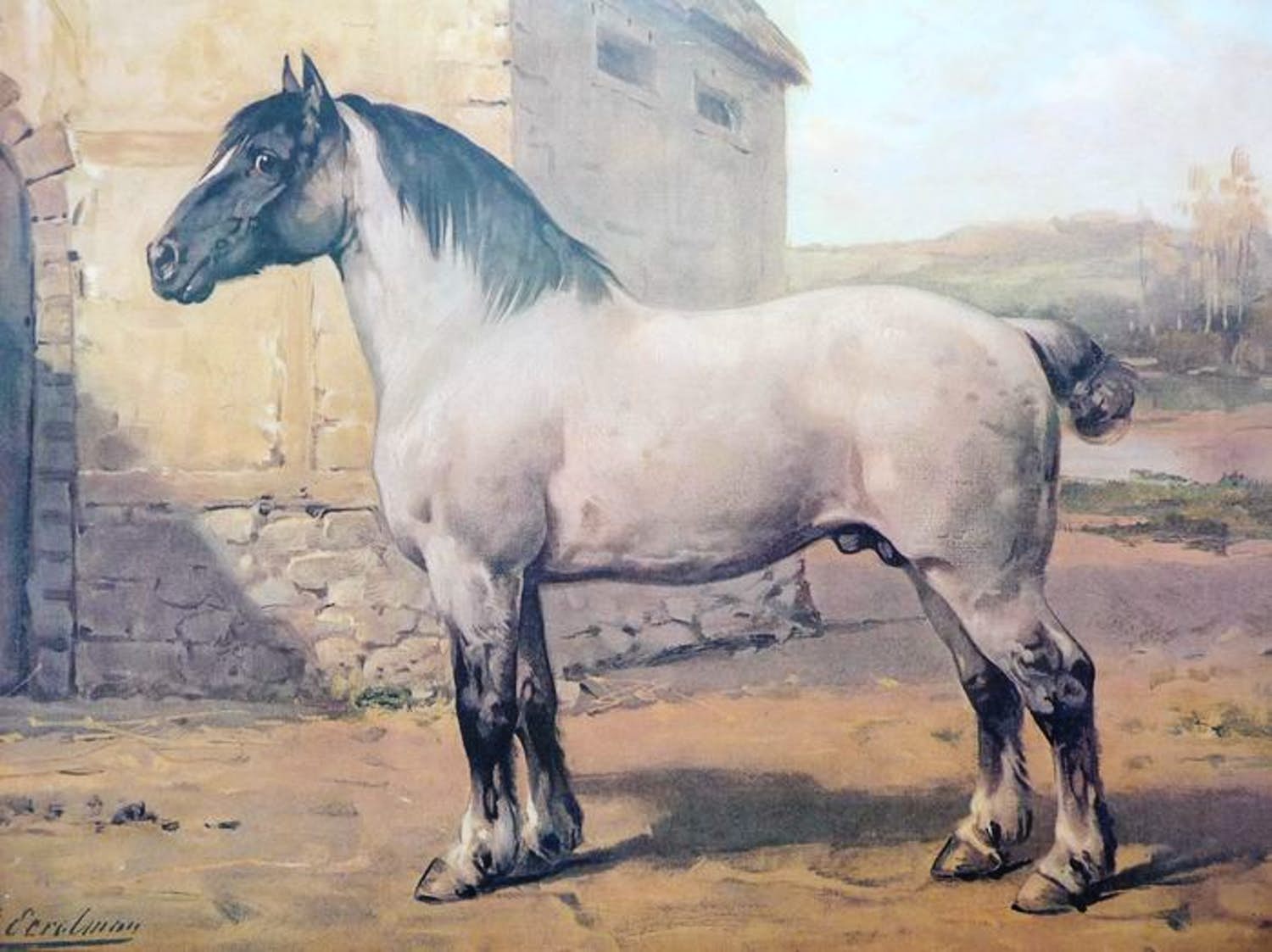 Otto Eerelman - Chromolithografie, Het Bretagner paard, kopen? Bied vanaf 60!