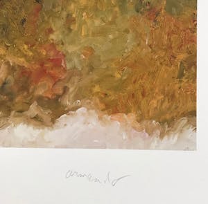 Armando - Prachtige Giclée - 2017 - 27/30 - Gesigneerd en genummerd kopen? Bied vanaf 85!