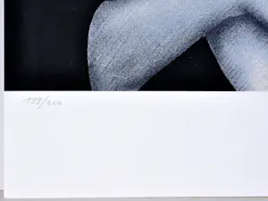 Jef van Tuerenhout - De Spiegel - Zeefdruk - Gesigneerd - 54x42 cm - 1977 kopen? Bied vanaf 90!