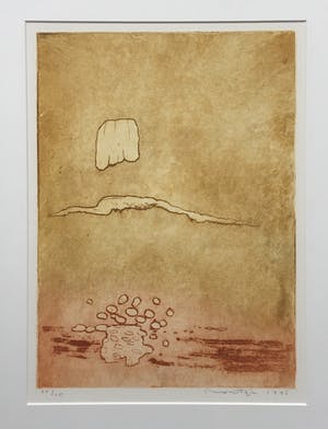 Jan Montyn - kleurenets - 1996 - oplage 25 - ingelijst kopen? Bied vanaf 135!