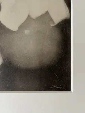 Jan Mankes - Originele Heliogravure Aronskelken 1923 kopen? Bied vanaf 85!