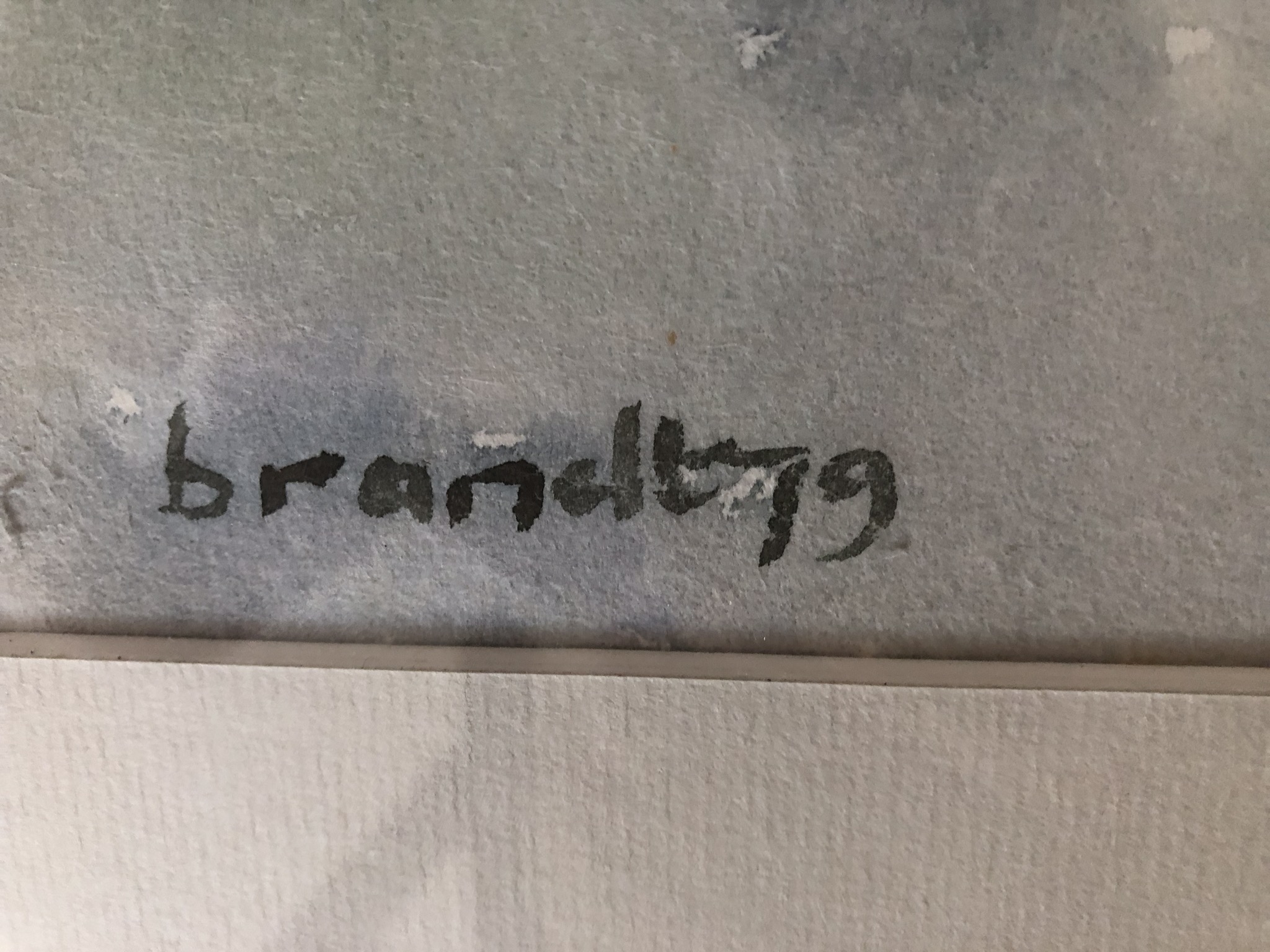 Edwin Brandt - Berkenbomen kopen? Bied vanaf 30!