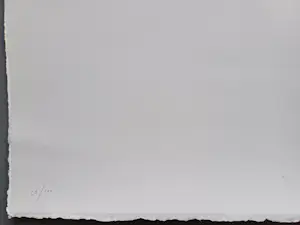 Henk Visch - gesigneerde zeefdruk kopen? Bied vanaf 65!