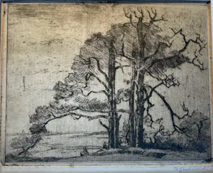 Theo Goedvriend - Door de bomen het bos - vijfzes etsen kopen? Bied vanaf 50!