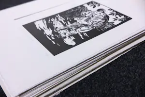 Stijn Peeters - Serie van 73 linosnedes 2003-2005 kopen? Bied vanaf 450!