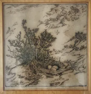 Antonius Cornelis Ninaber van Eyben - Zilvermeeuwennest kopen? Bied vanaf 59!