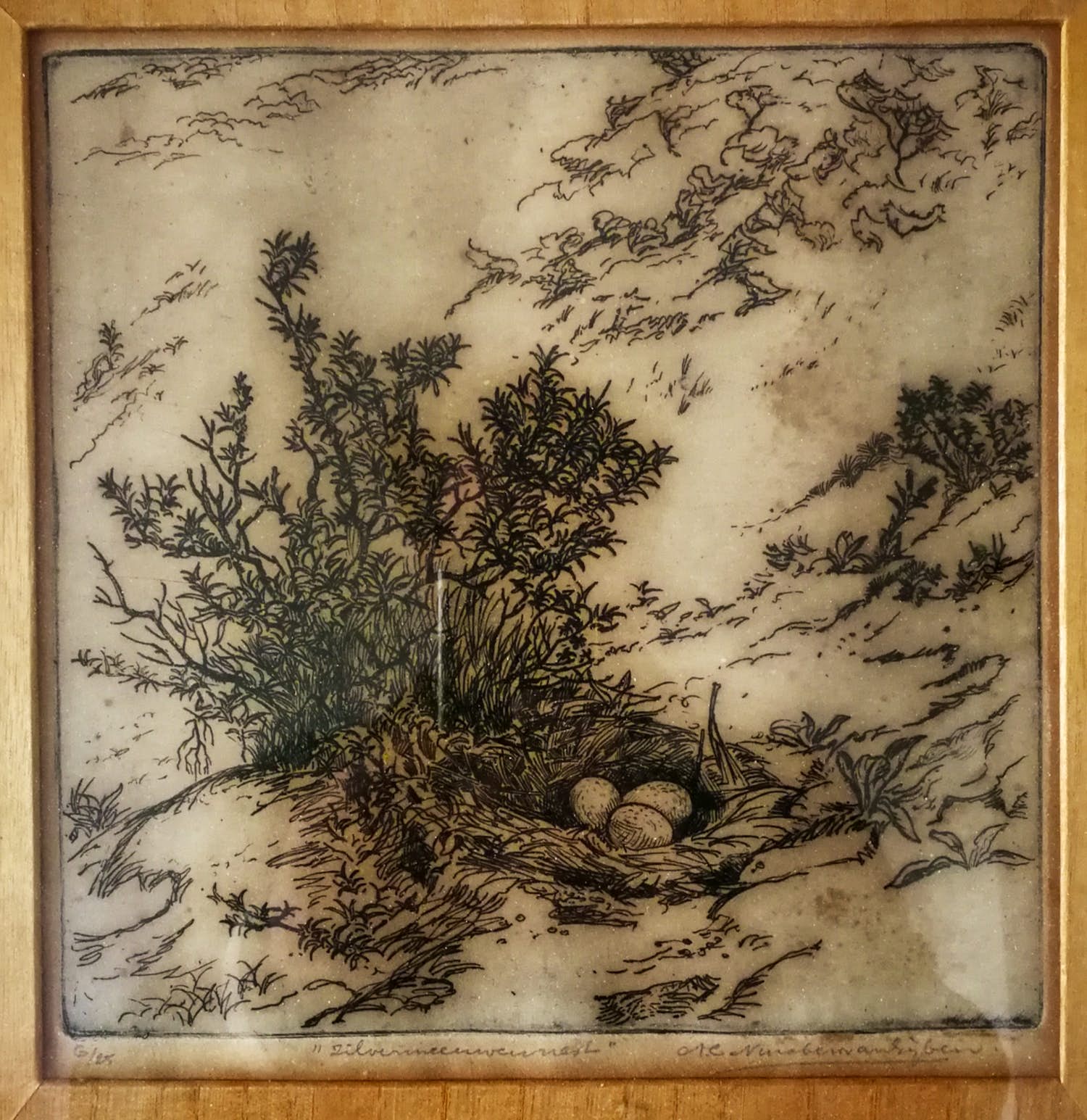 Antonius Cornelis Ninaber van Eyben - Zilvermeeuwennest verkocht voor € 59!