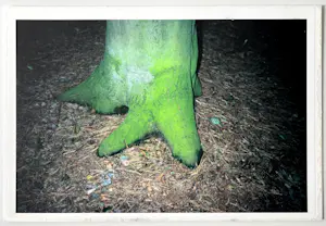 Elly Brethouwer - 'Groenboomstam' kopen? Bied vanaf 1!