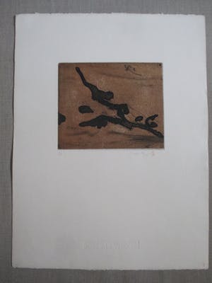 Willem Snitker - Ets "Lacrimae Antiquae" kleine oplage kopen? Bied vanaf 45!