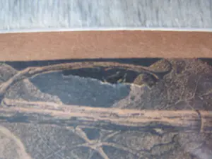 Anton Pieck - Passiebloemen kopen? Bied vanaf 75!