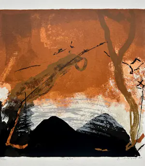 Henk van Vessem - Winter kopen? Bied vanaf 25!