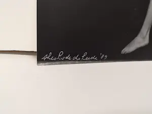 Theo Lode de Leede - Groepsnaakt kopen? Bied vanaf 29!