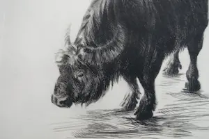 Dick Stolwijk - BUFFEL kopen? Bied vanaf 60!