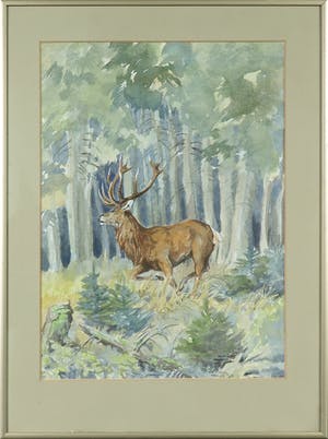 Peter Karsten - Aquarel, Edelhert in bos kopen? Bied vanaf 1!