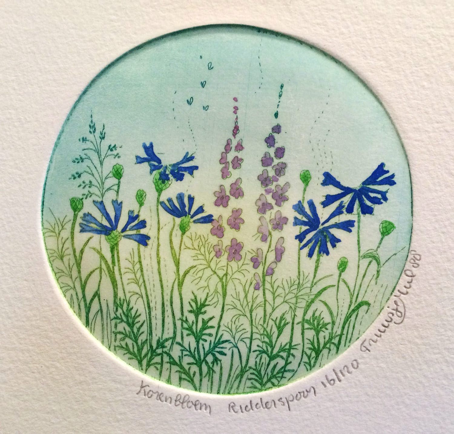 Truusje Mul - Korenbloem Ridderspoor | kleuren ets - ingelijst kopen? Bied vanaf 12!