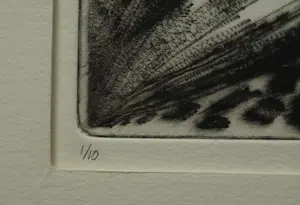 Uto Hogerzeil - Ingelijste ets en aquatint , Emoe’s (?) – 1980 – Lijst, 42 x 52 cm. kopen? Bied vanaf 60!