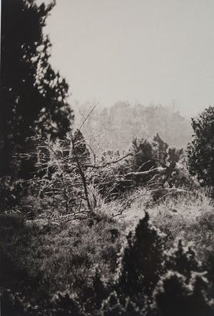 Erik Gigengack - "Buurse 2014", gesigneerde nummer 1 van beperkte oplage. kopen? Bied vanaf 35!